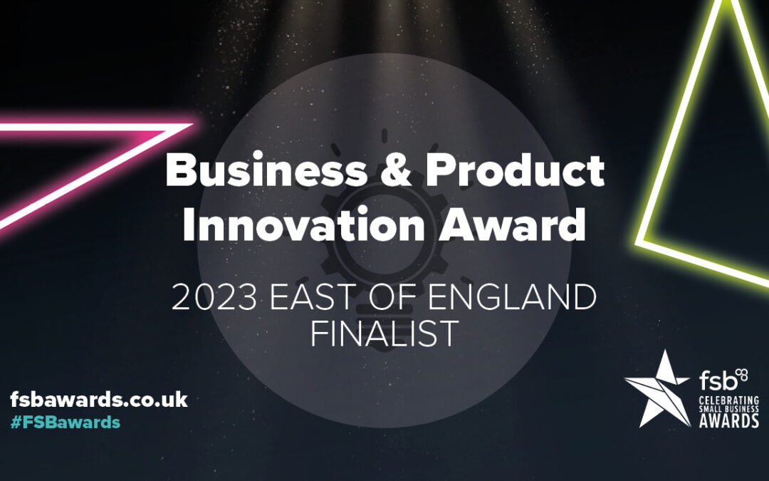 Sell Beyond: 2023 FSB Finalists in Business & Product Innovation!
