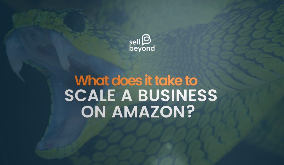 Blog on how to scale up business for Amazon Thumbnail