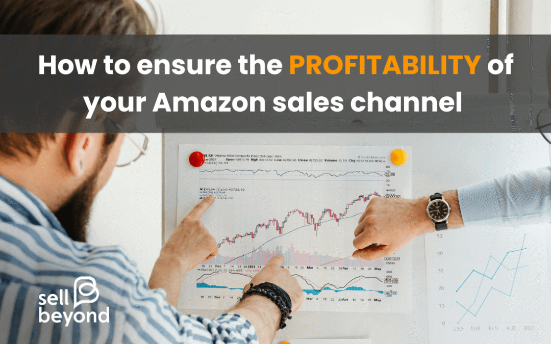 How to Ensure the Profitability of Your Amazon Sales Channel