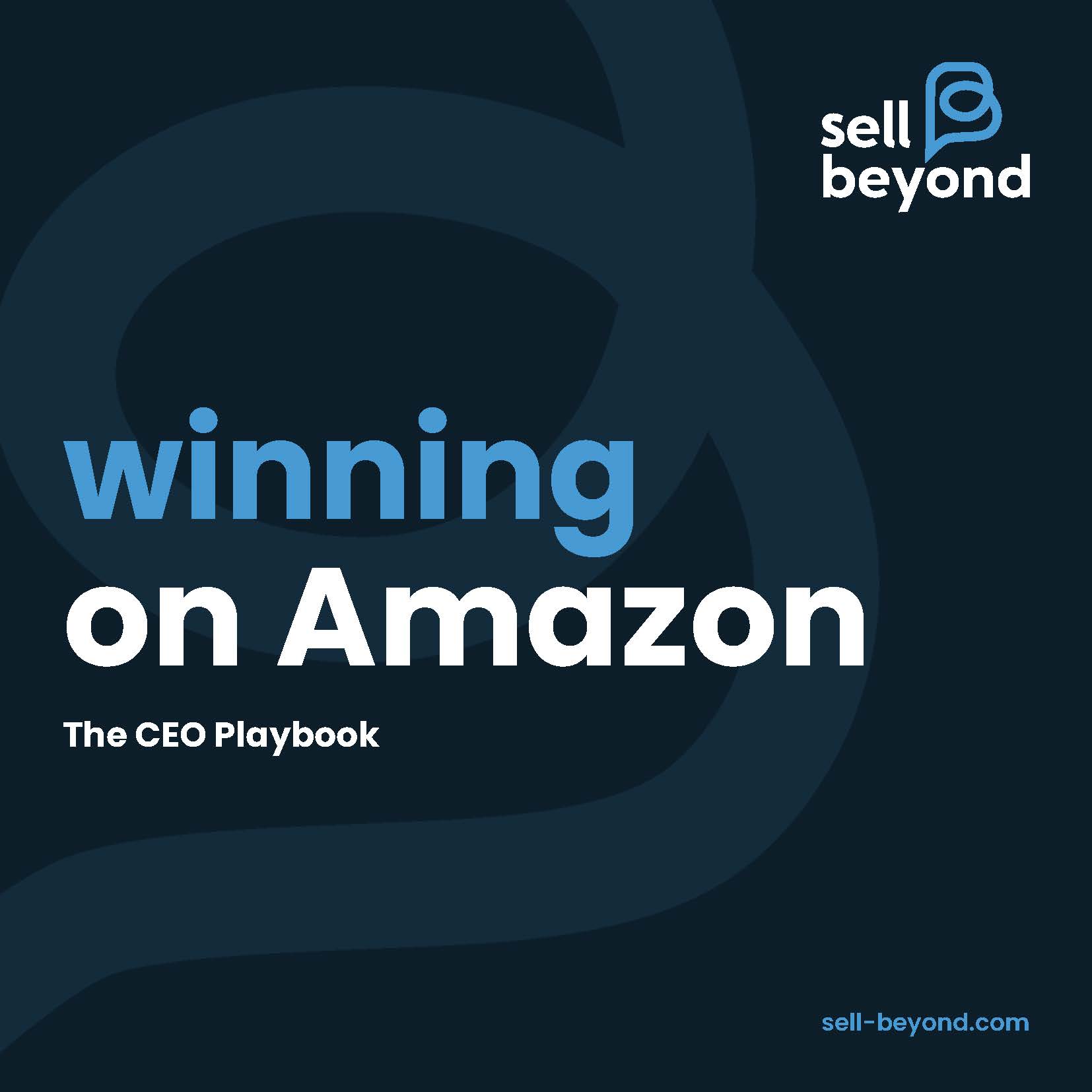 The CEO Playbook The CEO Playbook