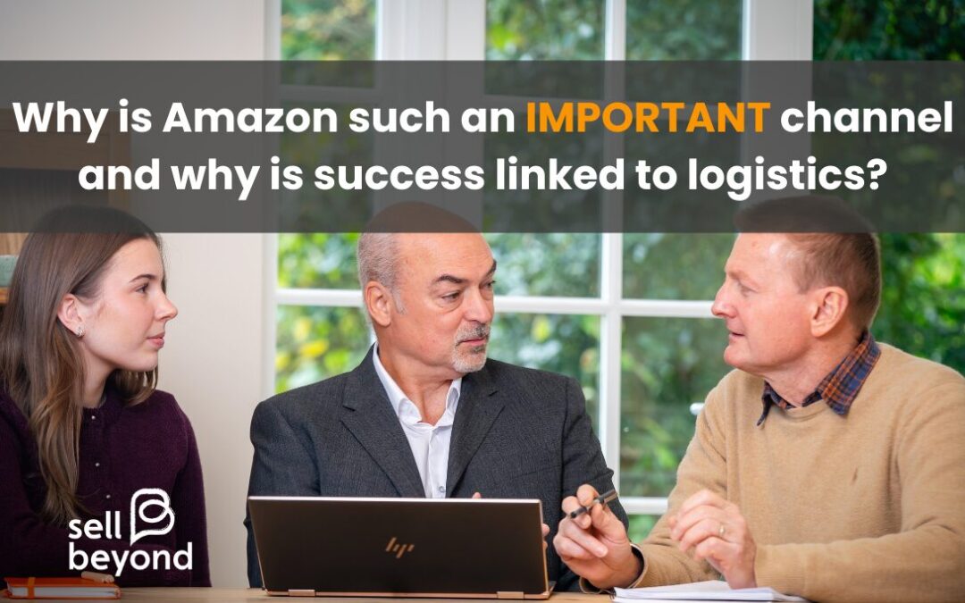 Why is Amazon such an important channel and why is success linked to logistics?